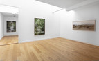 Flatland Gallery, Kim Boske.